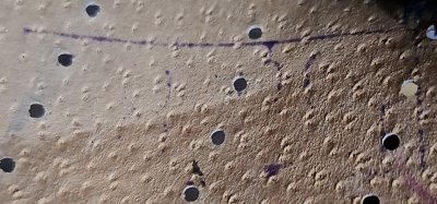 Czapka garnizonowa wojsk lotniczych wz.61 (wz. 71)