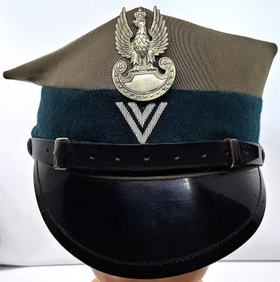 Rogatywka 407A/MON - artyleria