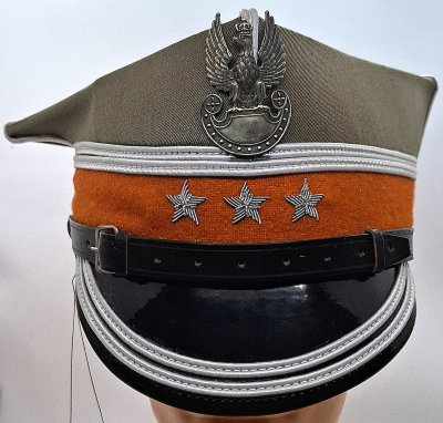 Rogatywka 407A/MON - wojska pancerne