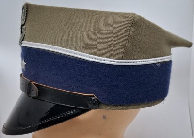 Rogatywka 407A/MON - wojska zmechanizowane 