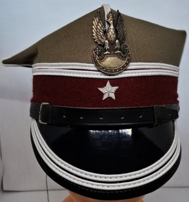 Rogatywka wz. 1992 - jednostki medyczne