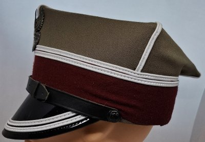 Rogatywka wz. 1992 - jednostki medyczne