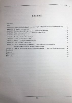 1 Batalion Szturmowy