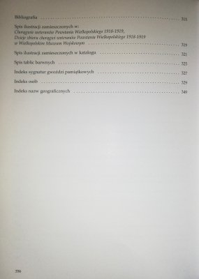 Chorągwie weteranów powstania wielkopolskiego 19