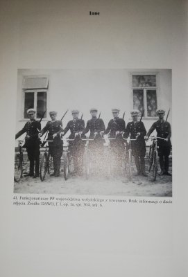 Policja państwowa w województwie wołyńskim w o