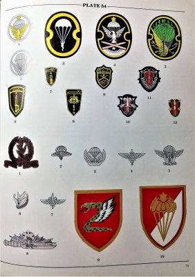 Badges & insignia of the elite forces 