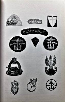 Barwa polskich komandosów 1942-1947
