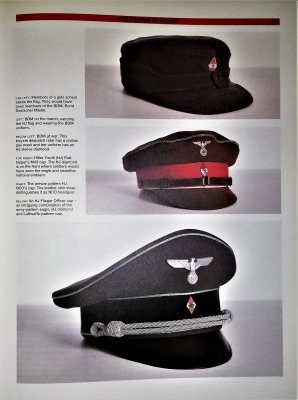 Nazi regalia