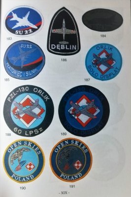Oznaki rozpoznawcze Wojsk Lotniczych i Obrony Powi