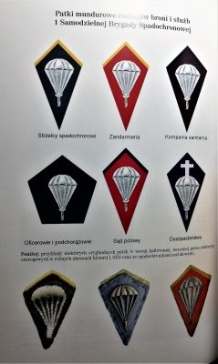 Polskie jednostki powietrzno - desantowe na zachod
