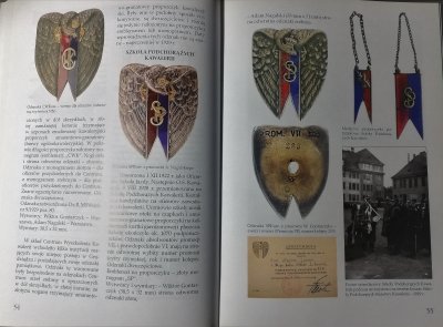 Polskie szkolnictwo wojskowe 1908-1939 odznaki - e