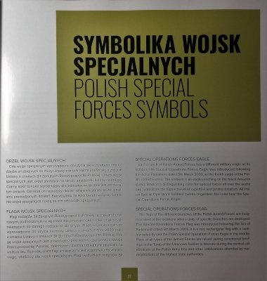 Wojska specjalne - sprostać wyzwaniom