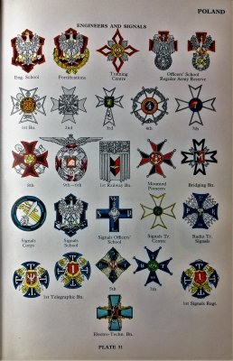 Army badges and insignia of world war II