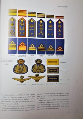 Insygnia i odznaki II wojny światowej