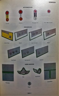 Rang-u. Ehrenabzeichen der Luftwaffen im 2. Weltkr