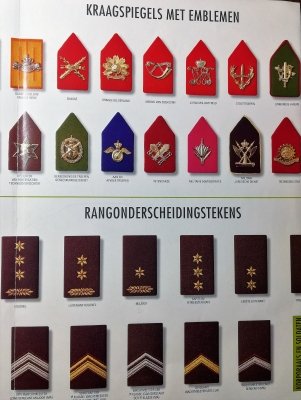 Rangen en onderscheidingstekens