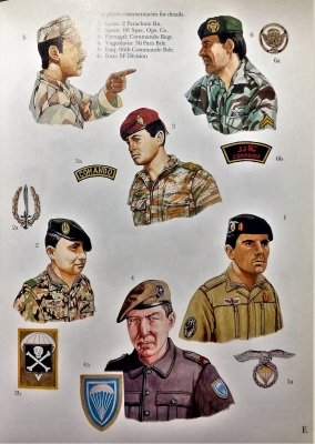 World Special Forces Insignia