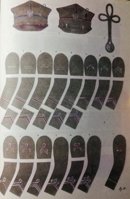 Barwa i broń Sił Zbrojnych Wielkopolski w latach
