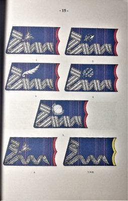 Barwy broni i służb Wojsko Polskie 1919-1925