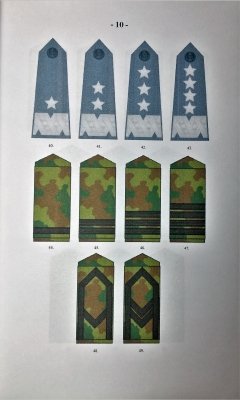 Oznaki stopni wojskowych Wojsko Polskie 2005-2014