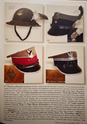 Dla Ciebie Polsko i dla Twojej chwały - katalog w