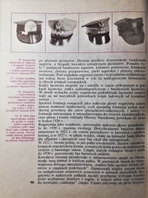 Dzieje polskiej rogatywki