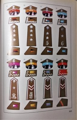 Księga kawalerii poslkiej