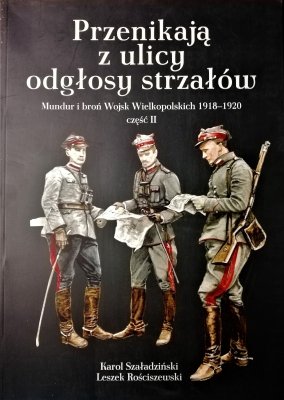 Przenikają z ulicy odgłosy strzałów