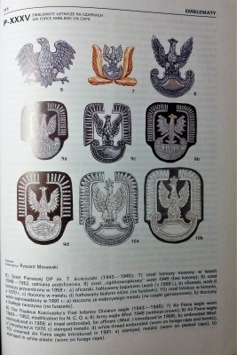 Encyklopedia lotnictwa wojskowego - Mundury lotnic