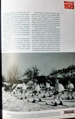 WLU tom 172 Oddziały narciarskie cz. 2