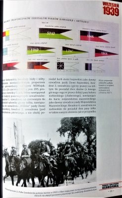 WLU tom 173 Umundurowanie i wyposażenie polowe ka