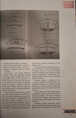 WLU tom 329 - nakrycia głowy cz. 1