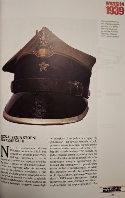 WLU tom 333 - nakrycia głowy cz. 2 