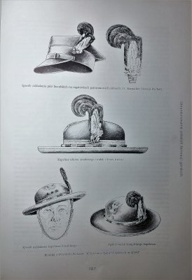 Wojska górskie II Rzeczypospolitej 1918-1939