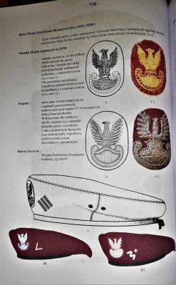 Żołnierz polski barwy broni i służb 1943-1989