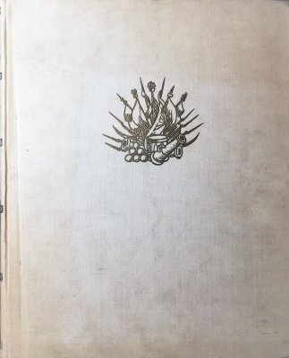 Żołnierz Polski - ubiór, uzbrojenie i oporządz