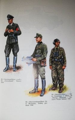 Militaria 1 - Waffen SS