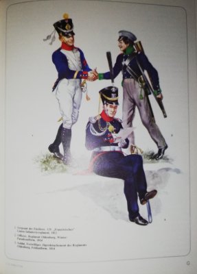 Napoleons Verbundete in Deutschalnd Band 2