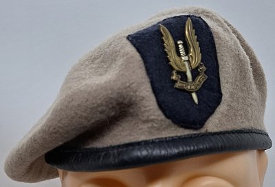 Special Air Service Regiment SASR