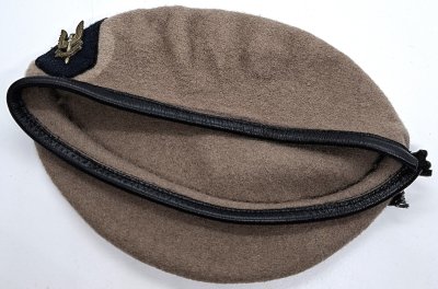 Special Air Service Regiment SASR