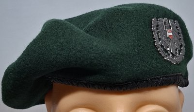 Landstreitkräfte Bundesheer