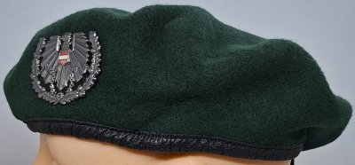 Landstreitkräfte Bundesheer
