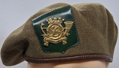 Regiment Carabiniers Prins Boudewijn 