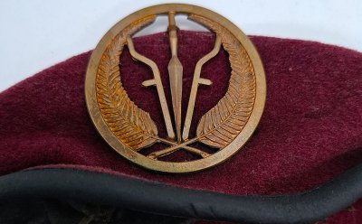 Armée de terre tchadienne