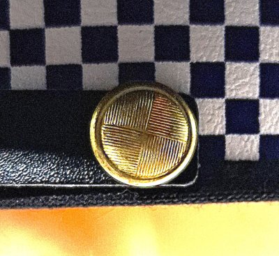 Městská policie brigadýrka