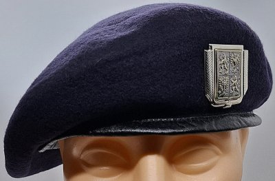 Policie ČR