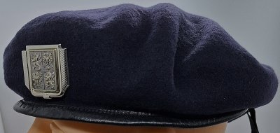 Policie ČR
