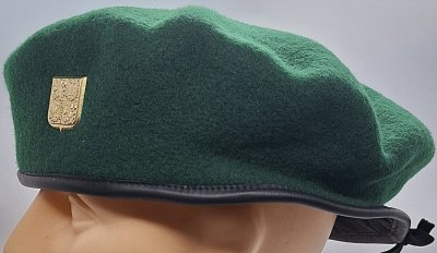 Průzkumu a elektronického boje