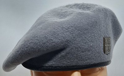 Síly bojového zabezpečení