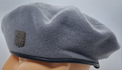 Síly bojového zabezpečení